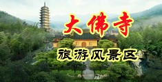 羞羞草视频在线观看中国浙江-新昌大佛寺旅游风景区